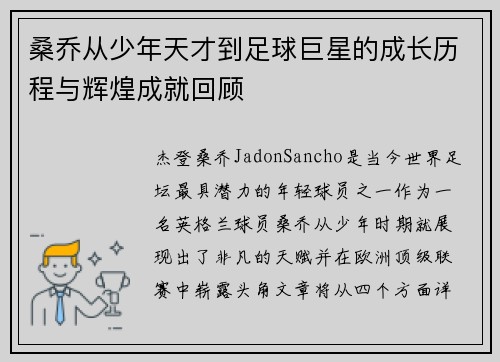 桑乔从少年天才到足球巨星的成长历程与辉煌成就回顾